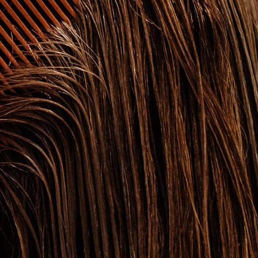 All Inclusive Haircut at Hair by Mariah Lexy in Lubbock, TX